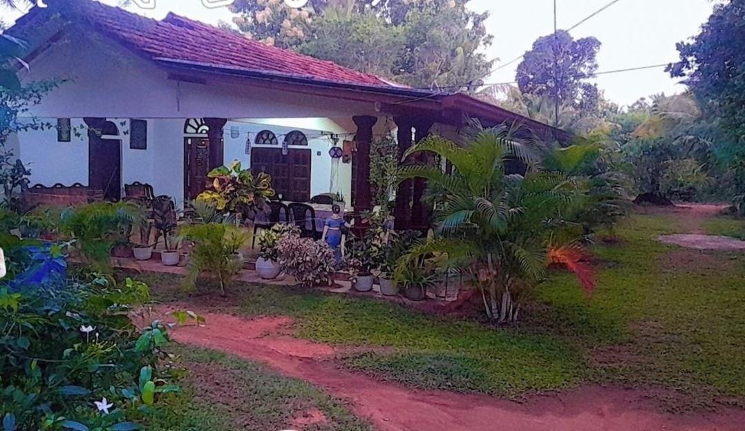 Ovi House Bed & Breakfast Dambulla Exterior photo